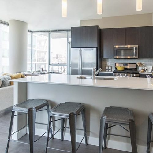 South Loop Luxury Apartments | For Rent | 1000 South Clark